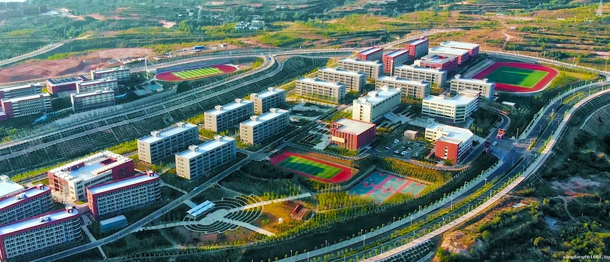 新利体育客户端官网2024年统招招生简章